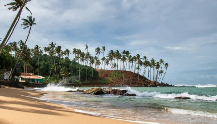 Tropical beach with palm trees and clear blue sea on the southern coast of Sri Lanka