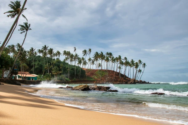 Tropical beach with palm trees and clear blue sea on the southern coast of Sri Lanka